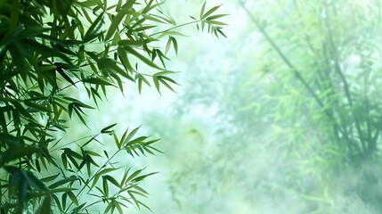 Serene bamboo forest in mist with lush greenery. Calm and peaceful nature scene. Ideal for relaxation and backdrop purposes. Tranquil and refreshing. AI