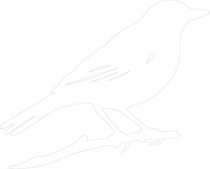 Obraz premium starling outline