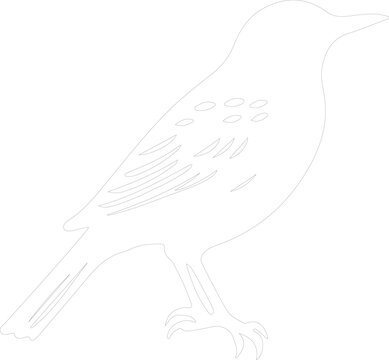 recommend clip art: starling outline