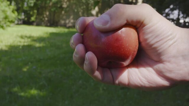 Close-up, crush apple with one hand