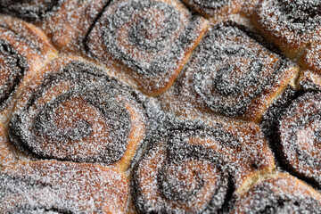 Close-up of a fresh poppy seed cake covered in powdered sugar, from above. The cake consists of...