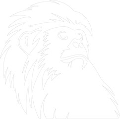 Obraz premium tamarin outline
