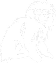 Obraz premium tamarin outline
