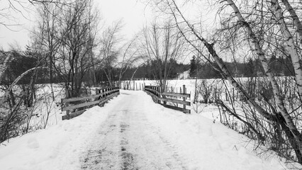 Old bridge over a little river in the canadian forest, Quebec, in spring