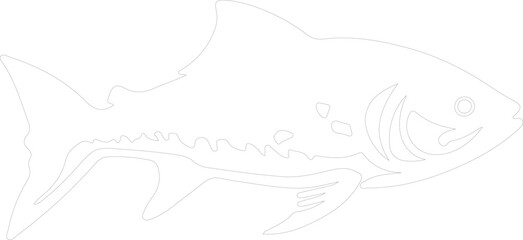tarpon outline