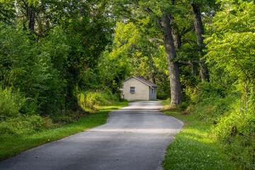 Rondeau Provincial Park road, Ontario, Canada