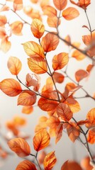 A delicate arrangement of orange leaves in soft lighting, conveying the warm essence of autumn.