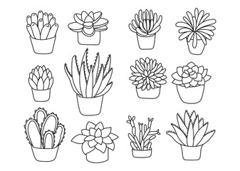 Cactus hand-drawn in the style of doodle Good for printing Symbol of the Western concept