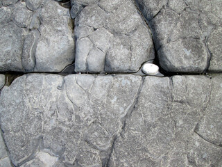 close up detailed shot of a white pebble caught in grey cracked rock formations on Kilve beach in Somerset England