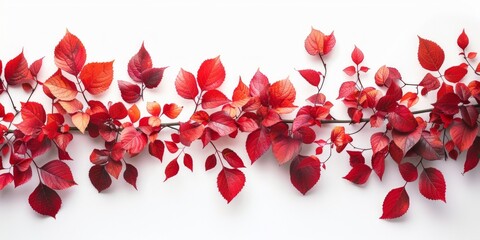 Continuous branches with red leaves sprawl across the frame, forming a striking pattern over a white space. Panoramic banner image, header or footer.