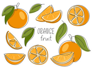 Collection of oranges whole, half, slice, piece. Abstract line drawn tropical citrus fruit with leaves isolated on white. Orange parts for design. Healthy vitamin food