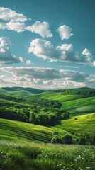 Fototapeta premium Green rolling hills under a blue sky