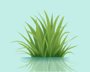 Green Grass Isolated Blue Background