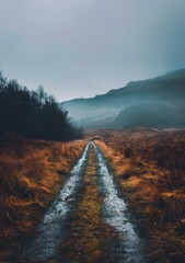 Rural Road Through The Moors On A Misty Day - obrazy, fototapety, plakaty