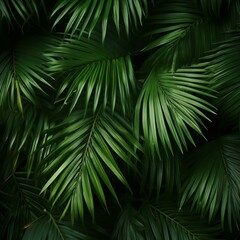 Close-up of lush green palm leaves in the jungle