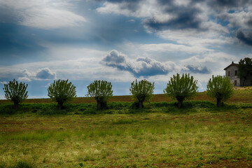 Fototapeta premium Tortonesi hills panorama, Tortona surroundings, Alessandria, Piedmont, Italy.