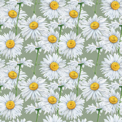 Fototapeta premium Seamless pattern of Hand Drawn watercolor floral plants camomile flowers. Herb flowers daisy. On green background. Botanical greenery chamomile flower illustration. For fabric, wallpaper, wrapping