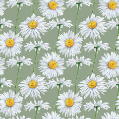 Seamless pattern of Hand Drawn watercolor floral plants camomile flowers. herb flowers daisy. Botanical greenery chamomile flower illustration. On green background. For fabric, wallpaper, wrapping