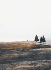 Lonely Man Stands in a Field of Tall Grass