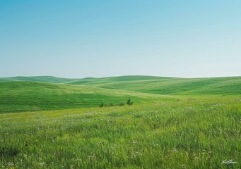 Obraz premium Green rolling hills under blue sky