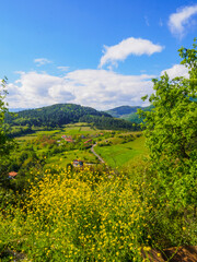 green village view in spring