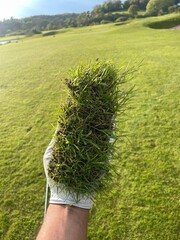Golf divot in the hand of a golfer wearing a golf glove