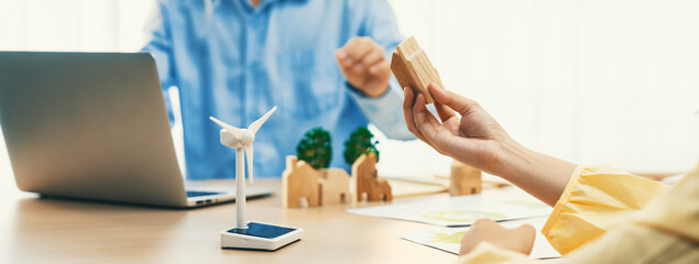 Businesswoman decides to Invest in green business. Skilled architects plan to build a eco house by...