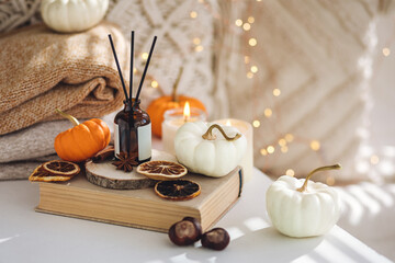 Autumn cozy mood composition on the windowsill. Aroma diffuser, pumpkins, dry citrus, candles on wooden tray, knitted warm plaid. Fall hygge home decor, aromatherapy. Copy space, white background