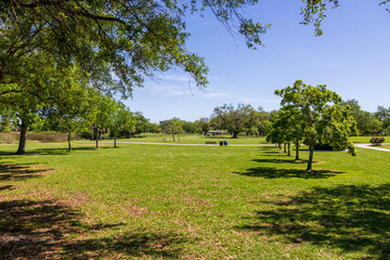 A beautiful spring landscape at New Orleans City Park with people, lush green trees, grass and...