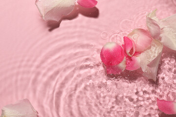 Beautiful rose petals in water on pink background, top view. Space for text