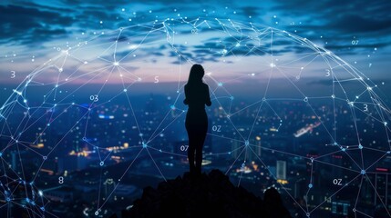 Global SEO Optimization Silhouette of Specialist Enhancing Digital Network for Faster Content Delivery