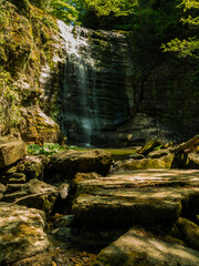 Fototapeta premium image of lush green nature in spring