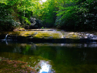 Obraz premium OLYMPUS DIGITAL CAMERA