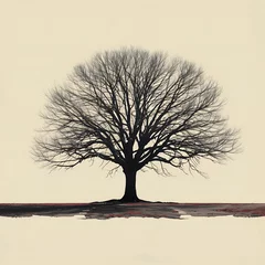 Fotobehang silhouette of a leafless tree standing in isolation © Serghej