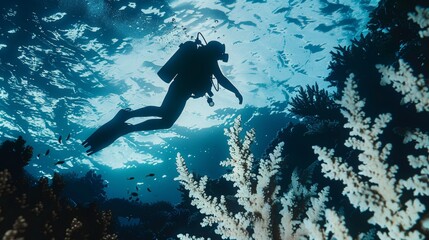 Underwater Witness Diver Silhouette Capturing Climate Change's Devastating Effects on Coral Reefs