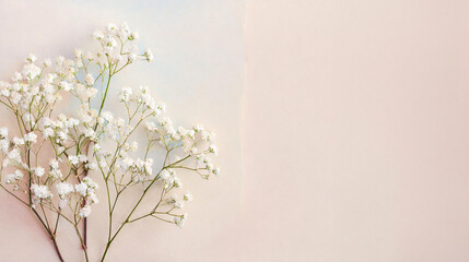 Illutration of white gypsophila flowers on paper background top view in flat lay style. Greeting card for Womens, Mothers Day, wedding invitation or Spring Sale Banner. Generative AI. - obrazy, fototapety, plakaty