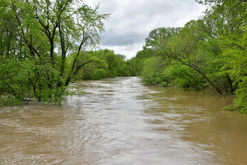 Flooded River