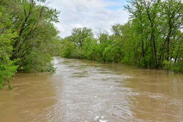 Flooded River