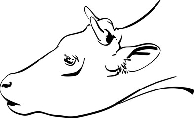 Vector of a cow head design on white background. Farm Animal. Easy editable layered vector illustration. Vector Bull