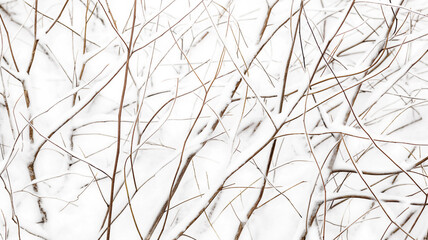 Bare branches crisscrossing with a delicate dusting of snow, creating a natural wintery lattice. - obrazy, fototapety, plakaty