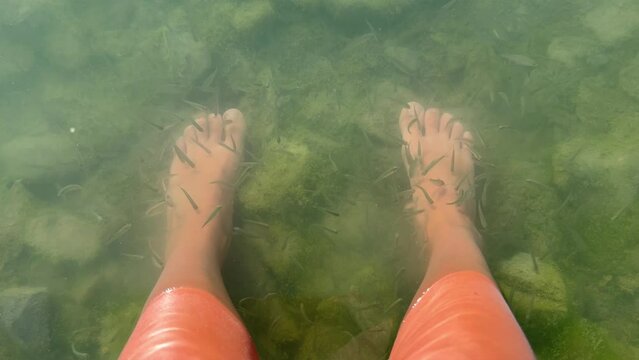 Wild sandy shore of Lake Balkhash in Kazakhstan in summer. Spa foot massage with fish on the lake in muddy water. Foot cleansing procedures. Garr Rufus fish. A living skin care product. 4К