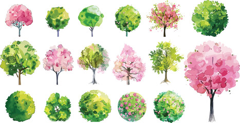Watercolor of  pink and green blooming tree top view isolated on white background for landscape plan and architecture drawing. Elements for garden , botanical plan. Vector watercolor of tree top view