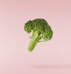 Fresh raw Brocolli cabbage falling in the air isolated on pinkk backround. Healthy food levitation. High resolution image