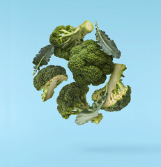 Fresh raw Brocolli cabbage falling in the air isolated on blue backround. Healthy food levitation. High resolution image