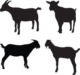 Goat Black Goat, Farm Animal Icon, Isolated On White background