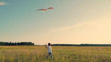 Childhood dream of fly, child go through field at sunset with kite. Slow motion. Kite flies in...