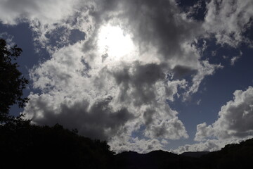 PARQUE NATURAL SIERRA DE LAS NIEVES. ANDALUCIA. ESPAÑA