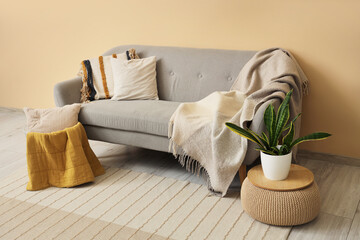 Grey cozy sofa with plaid and houseplant near beige wall in living room