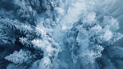 Displaying the stunning winter wilderness from above