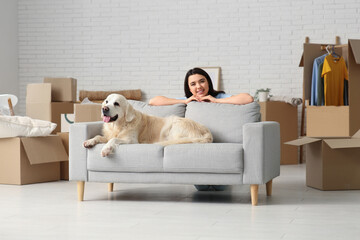 Young happy woman and cute Labrador dog with boxes on moving day near sofa at home
